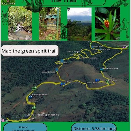 Malekus Mountain Lodge Aguas Claras  外观 照片